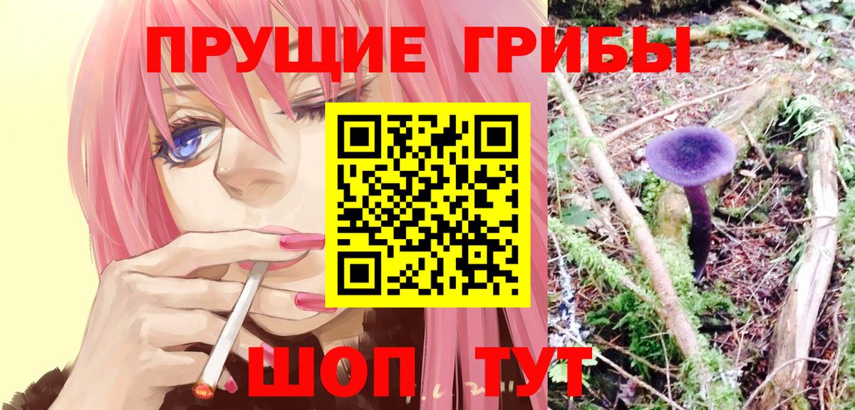 Псилоцибиновые грибы Magic Shrooms  Вход с VPN  как найти закладки  Омск 
